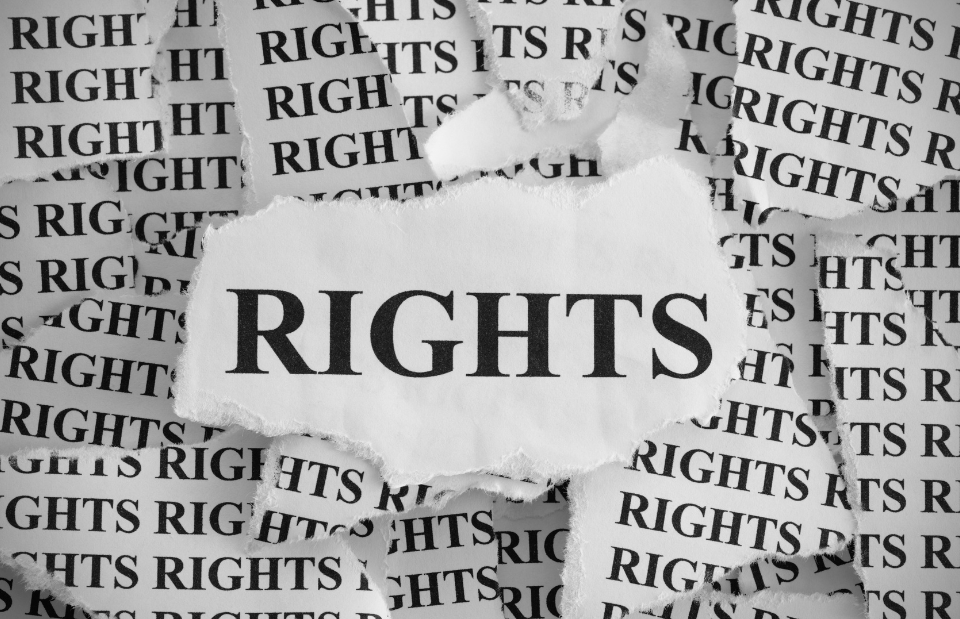 Image of scraps of newspaper with the word 'Rights'