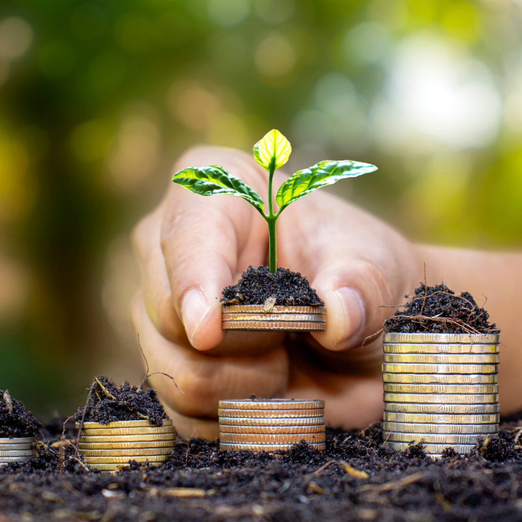 A seedling growing out of soil positioned on a stackof coins with a hand supporting the seedling