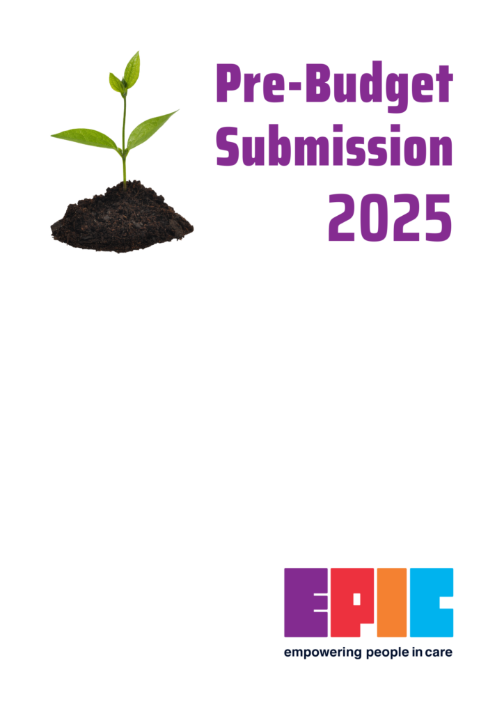 Cover of EPIC's Pre-Budget Submission 2025