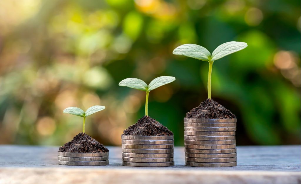 Three piles of coins with seedlings growing out of them.